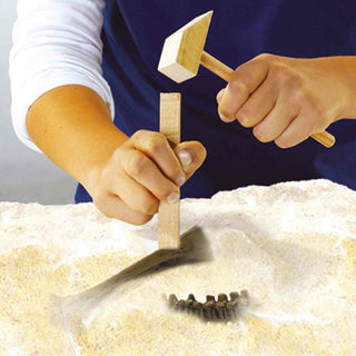 DINO & SKELETON EXCAVATION  - T-REX