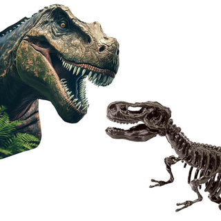 DINO & SKELETON EXCAVATION  - T-REX