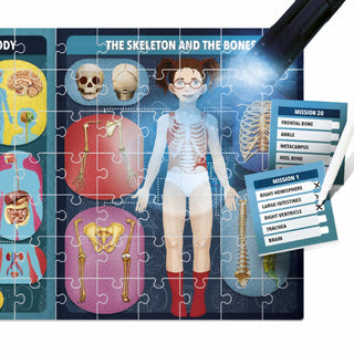THE HUMAN BODY UNDER X-RAY