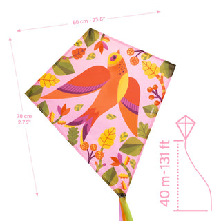 KITE