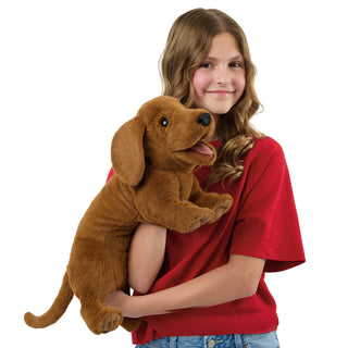 DACSHUND