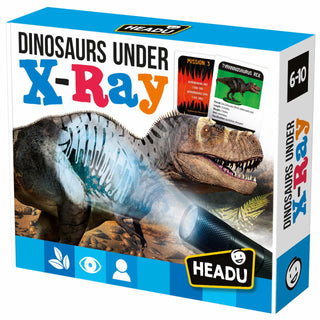 DINOSAURS UNDER THE X-RAY