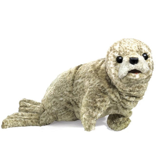 HARBOR SEAL