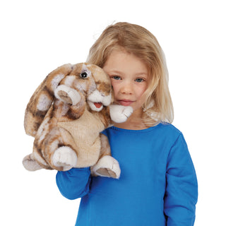 SILKY BUNNY RABBIT