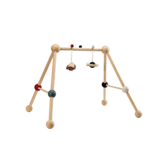 PLAY GYM