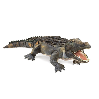 AMERICAN ALLIGATOR
