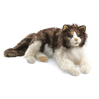 RAGDOLL CAT