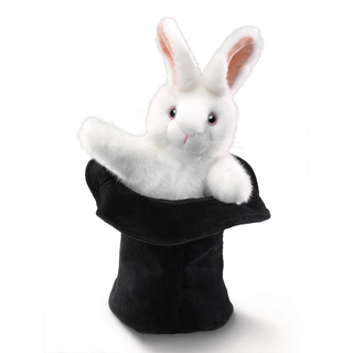 RABBIT IN HAT