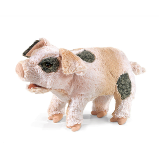 GRUNTING PIG