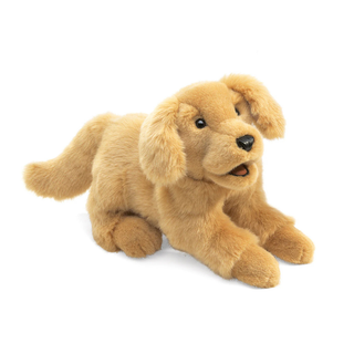GOLDEN RETRIEVER PUPPY
