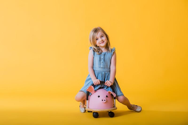 WHEELY BUG PIG (L) – The Better Toy Store - Main Image