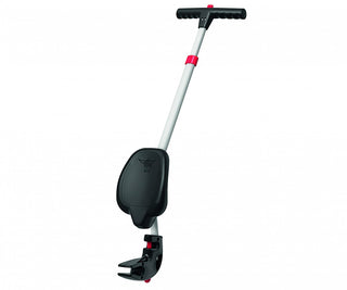 PUSH POLE WITH SEAT BACK