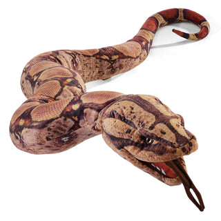 BOA CONSTRICTOR