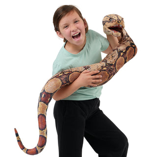 BOA CONSTRICTOR