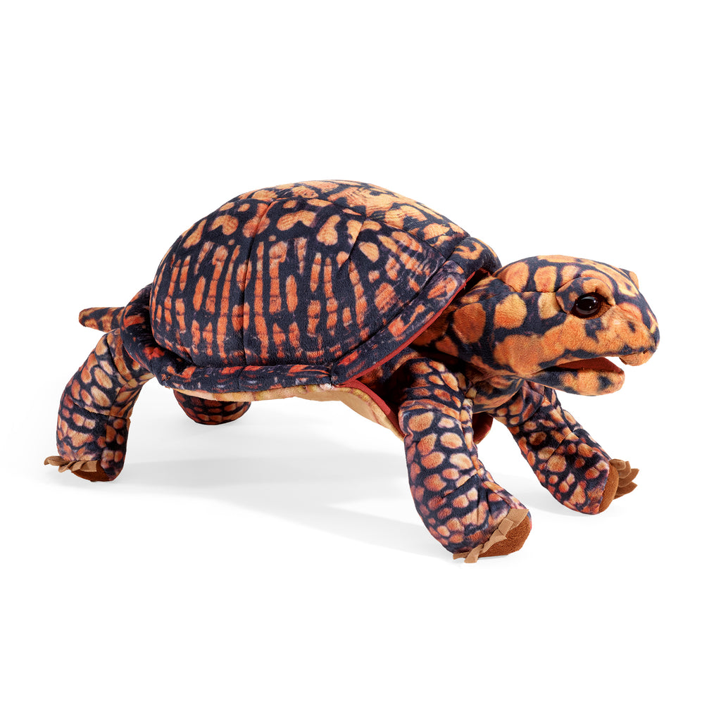 BOX TURTLE – The Better Toy Store