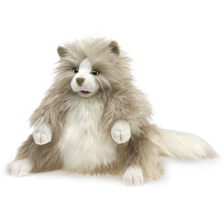 FLUFFY CAT