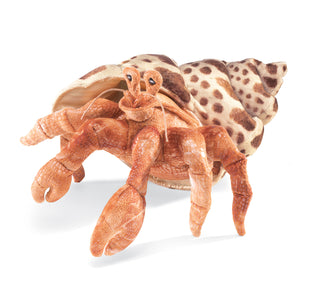 HERMIT CRAB