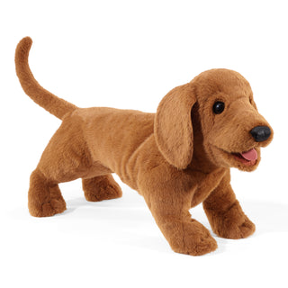 DACSHUND