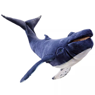 HUMPBACK WHALE
