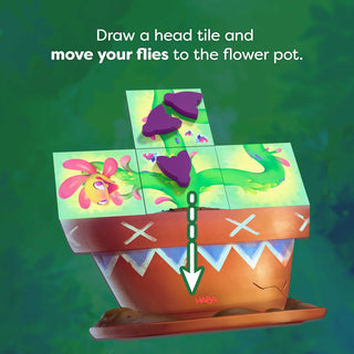 CARNI FLORA