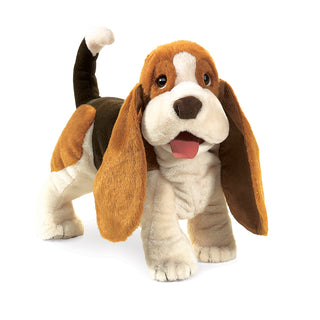 BASSET HOUND