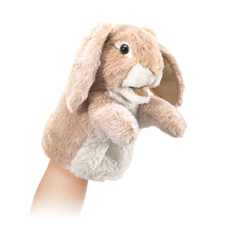 LITTLE LOP RABBIT