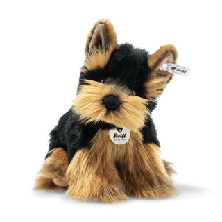 HERKULES YORKSHIRE TERRIER