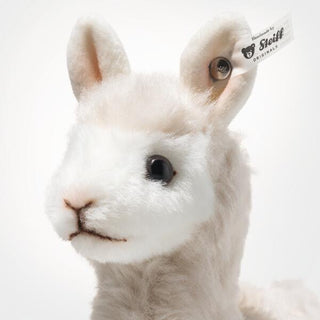 COSY ALPACA