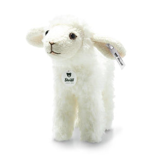 ANNI LAMB