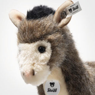 ASINUS DONKEY