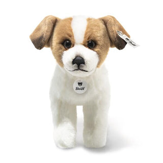 TERRIE DOG