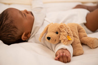 SOFT CUDDLY FRIENDS FLOPPY