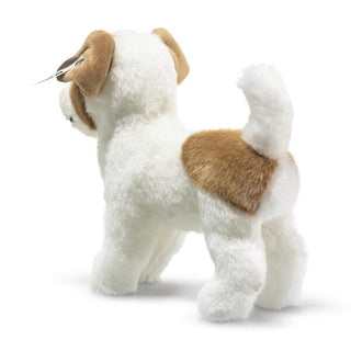 TERRIE DOG