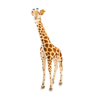 STUDIO GIRAFFE