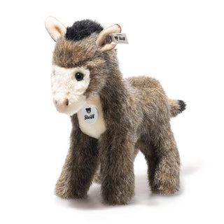 ASINUS DONKEY