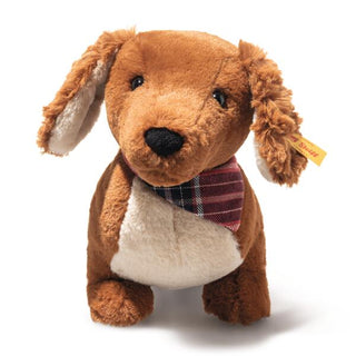 WALDI DACHSHUND