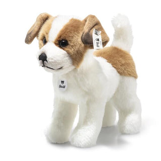 TERRIE DOG