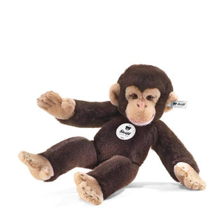 KOKO CHIMPANZEE