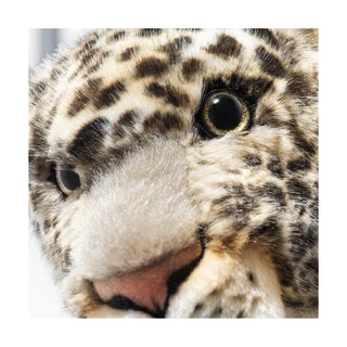 PARDDY LEOPARD