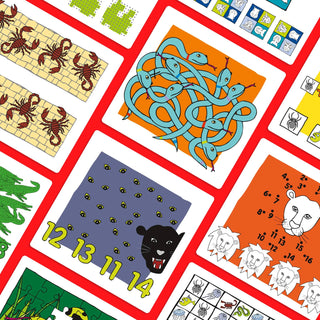 LOGICASE EXPANSION SET