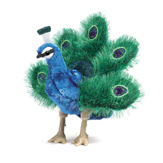 SMALL PEACOCK