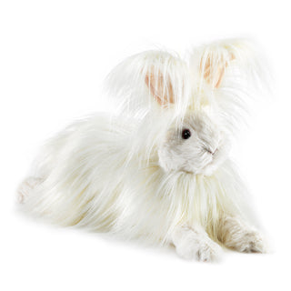 ANGORA RABBIT