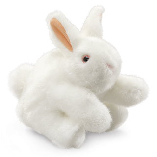 WHITE BUNNY RABBIT