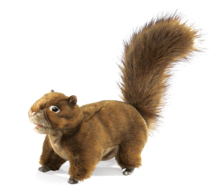 RED SQUIRREL