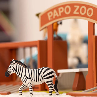 MALE ZEBRA